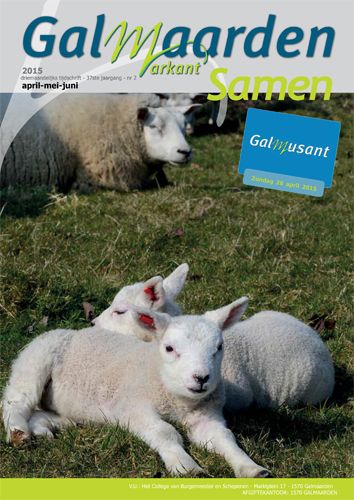 Kaft van Samen 2015-2